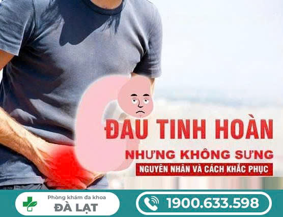 Hình ảnh minh họa